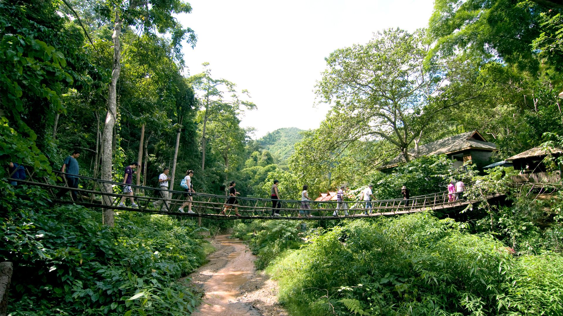 西双版纳国家森林公园
