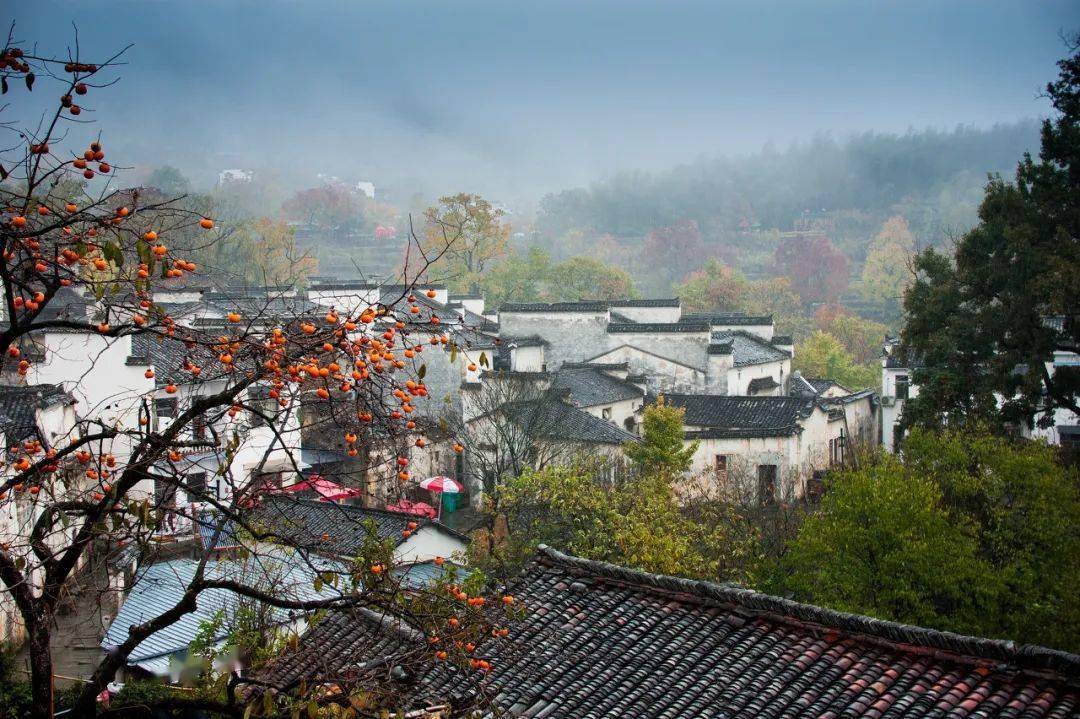 11月，全国最美的20个地方，哪个最让你心动