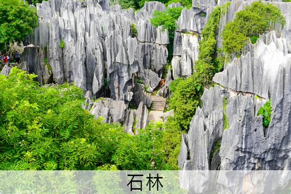 石林