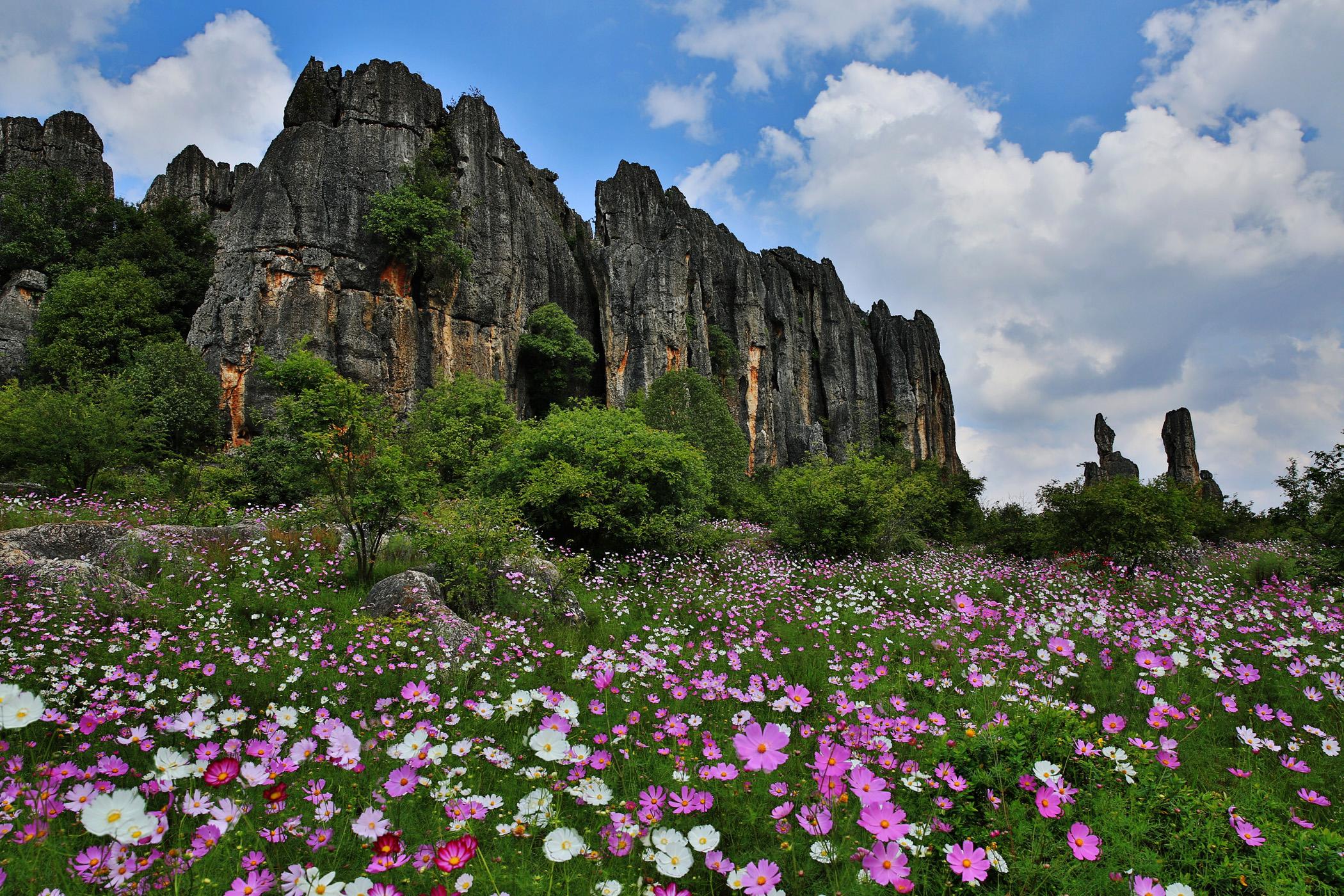 石林风景区