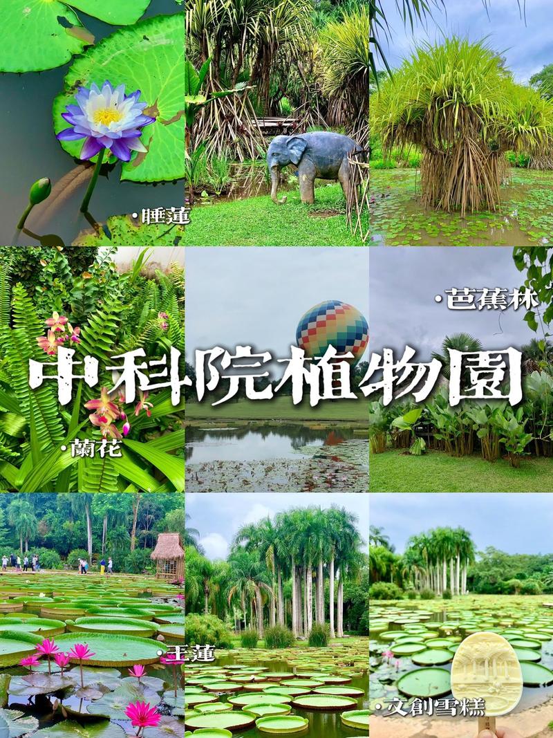 中科院植物园