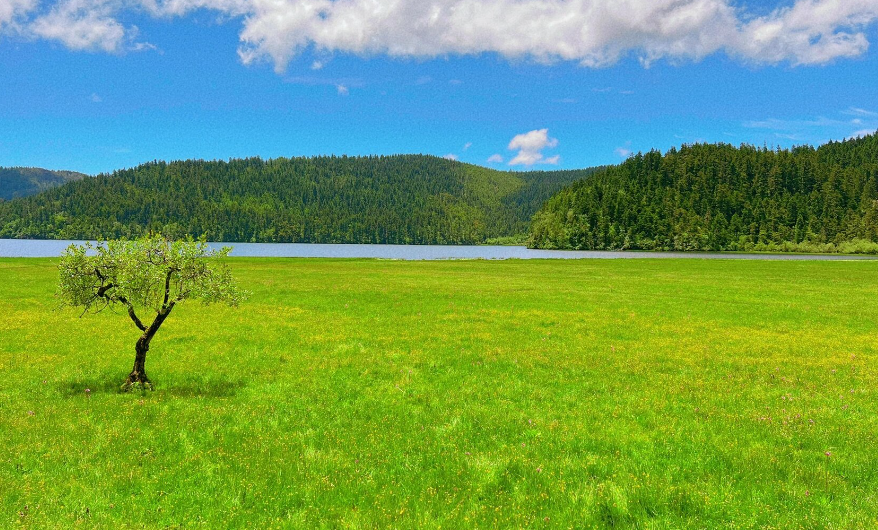 香格里拉