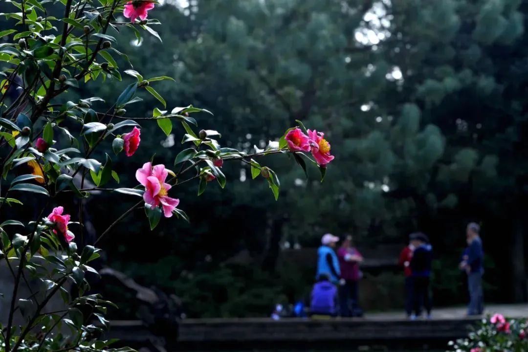 金殿名胜区