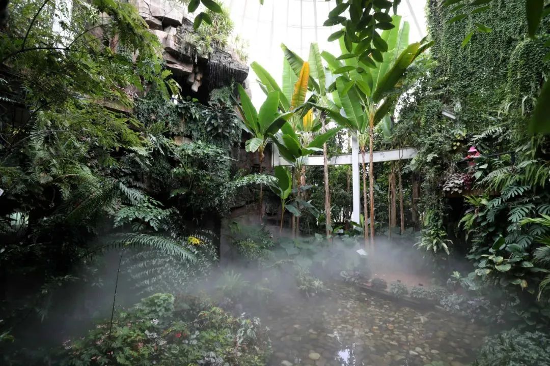 昆明植物园(扶荔宫)