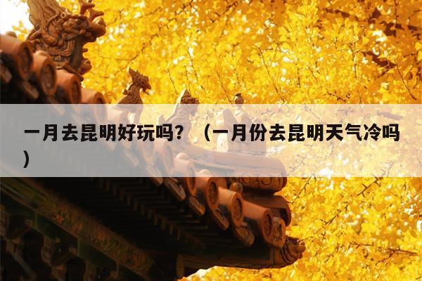 一月去昆明好玩吗?(一月份去昆明天气冷吗)