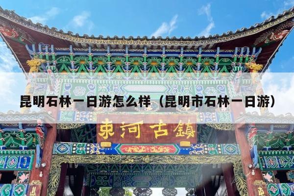 昆明石林一日游怎么样(昆明市石林一日游)