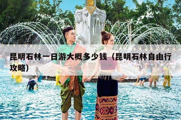昆明石林一日游大概多少钱(昆明石林自由行攻略)