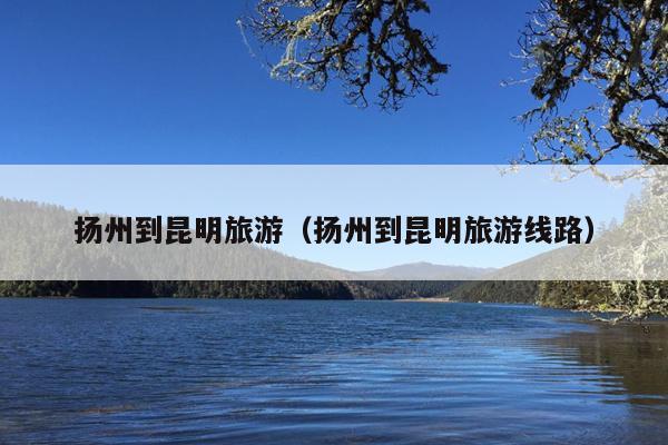 扬州到昆明旅游(扬州到昆明旅游线路)