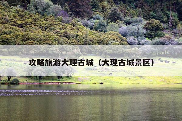 攻略旅游大理古城（大理古城景区）