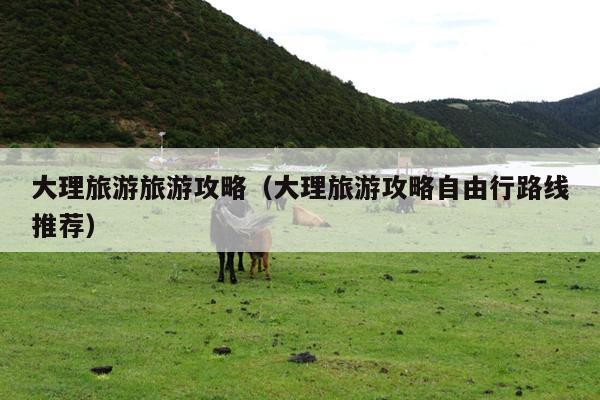 大理旅游旅游攻略（大理旅游攻略自由行路线推荐）