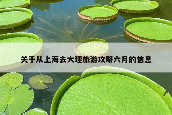 关于从上海去大理旅游攻略六月的信息