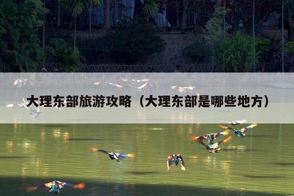 大理东部旅游攻略（大理东部是哪些地方）