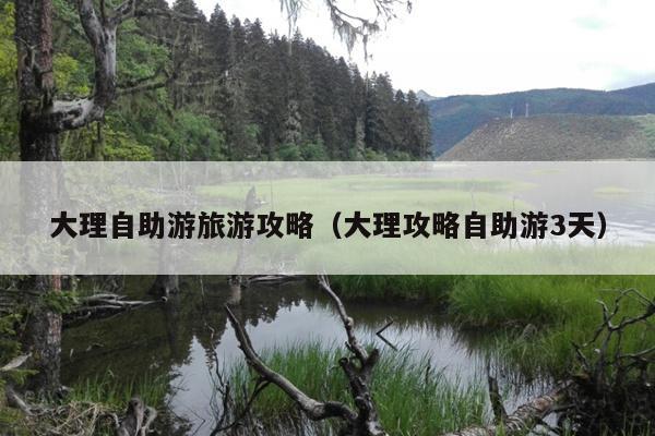 大理自助游旅游攻略（大理攻略自助游3天）